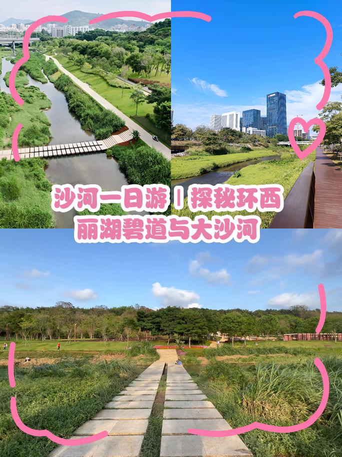 大沙河丽湖段疑似污水排河
