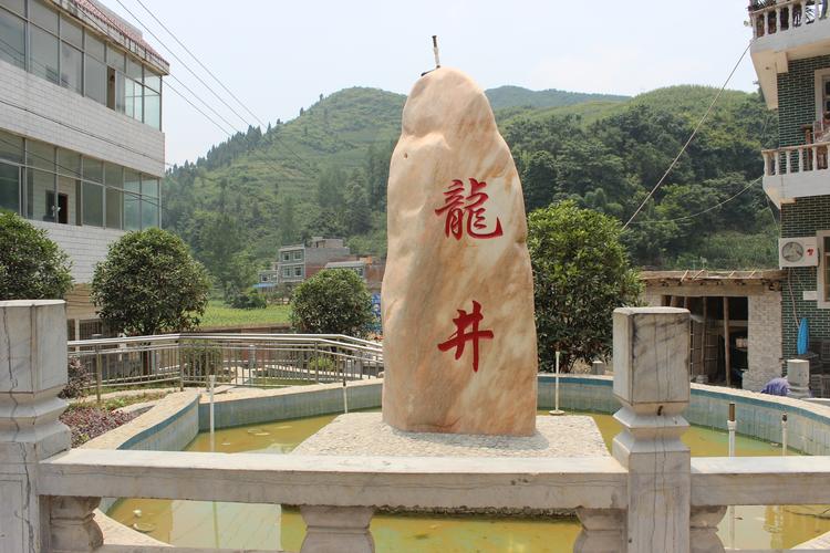 仁怀市龙井镇:建立“路长制” 为乡村振兴添动力