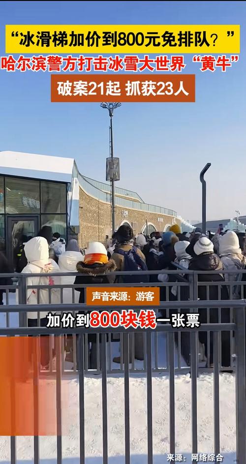 哈尔滨抓获23名冰雪大世界“黄牛”