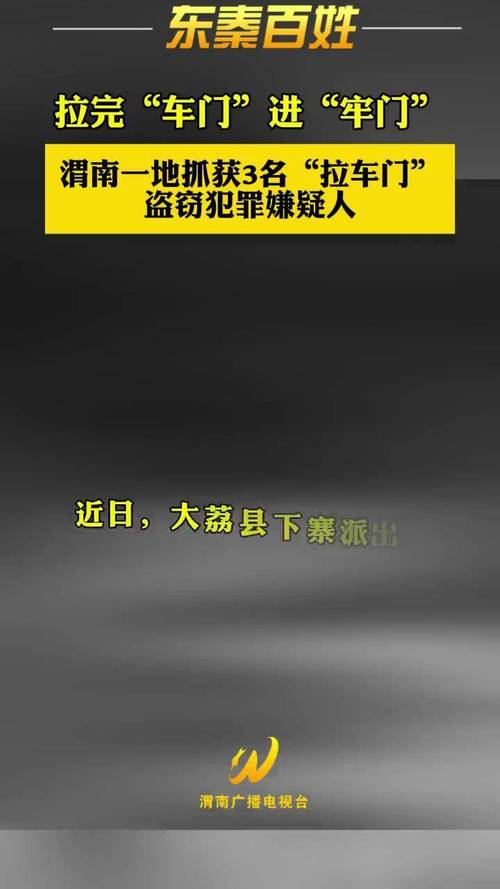 刑满释放就去亲戚家盗窃，一蟊贼在砀山落网