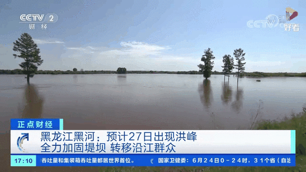 众志成城 防汛救灾|黑龙江:专家下基层 助农减损促丰收