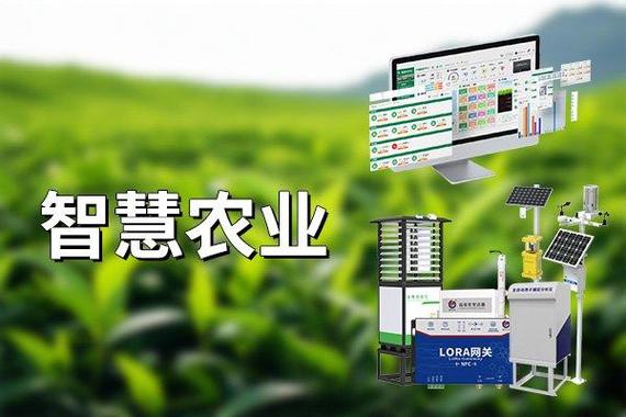 智慧栽培 助农增收