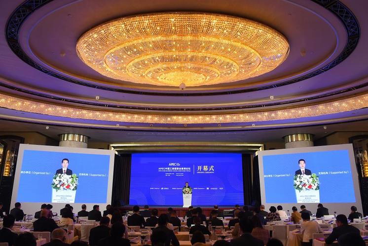 专访:疫情防控有赖全球合作 中国经济复苏惠及全球——访二十国集团工商峰会主席优素福·贝尼安