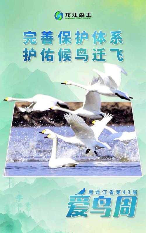 湖南等五省(区)启动候鸟迁飞通道跨区域联合保护行动