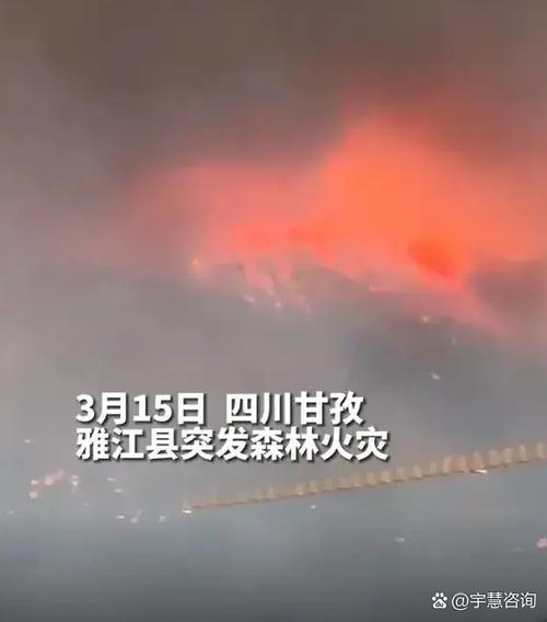 近期四川森林火灾多发 国家森防办约谈四川省、凉山州人民政府