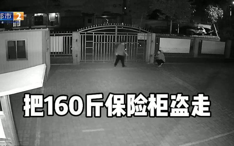 俩男子合资买车到上百公里外盗窃 偷回160斤保险柜激动砸开后崩溃