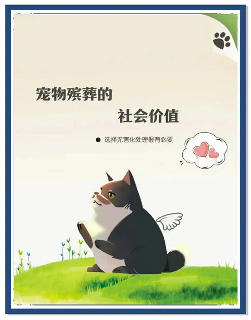 《在世界的拐角守望你》推出:宠物、生命与情感