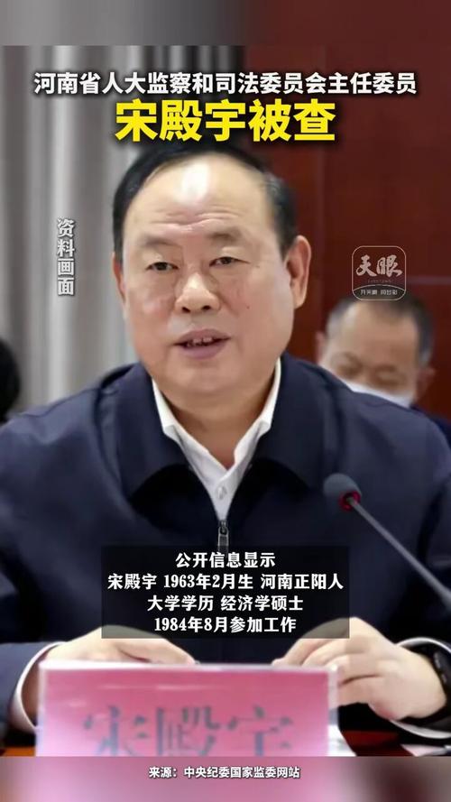 河南省人大监察和司法委员会主任委员宋殿宇接受审查调查