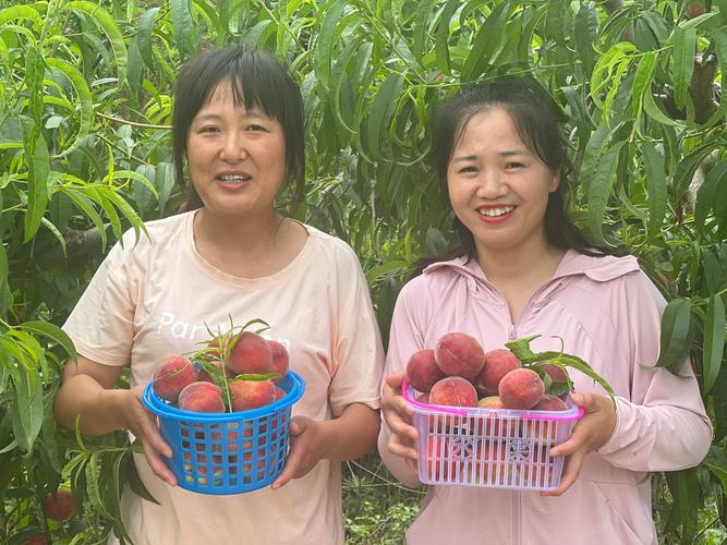 河南宝丰:多措并举引导民企“跳起来摘桃子”