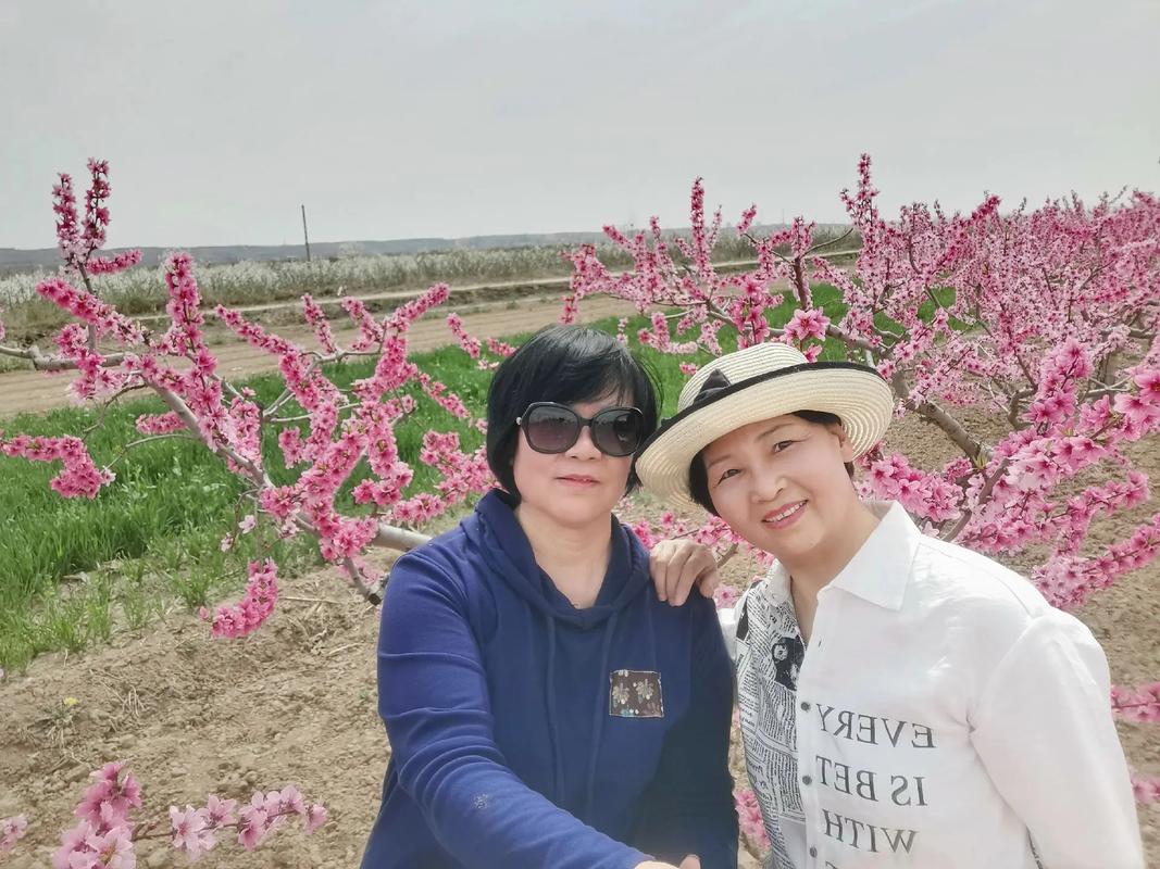 村里喜讯:榆中县“四生融合”让和美乡村焕发蓬勃生机