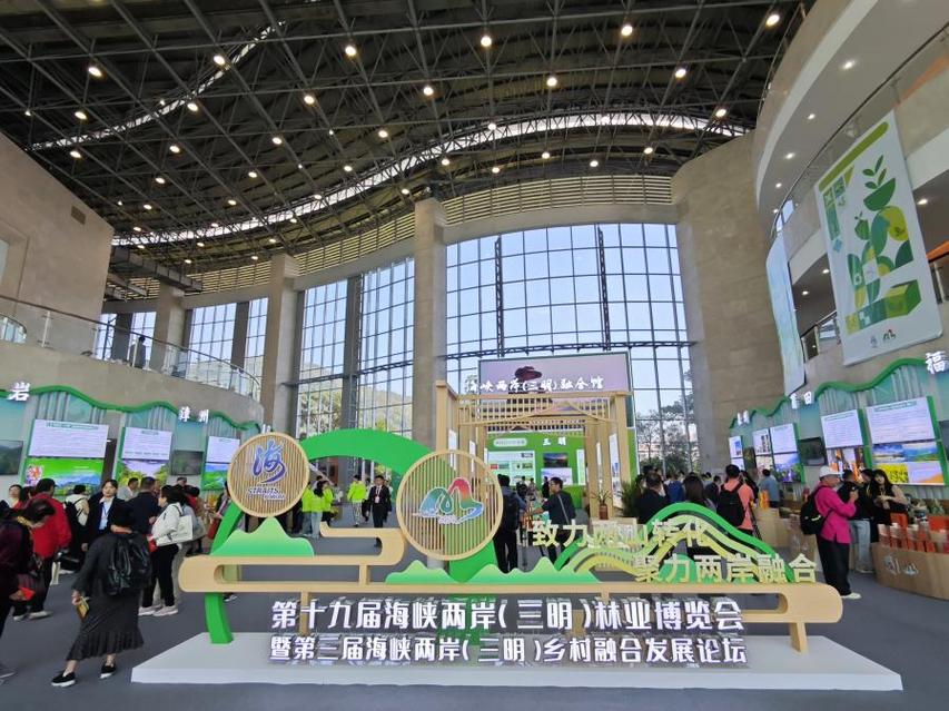 福建三明:以林为桥 共促两岸融合发展