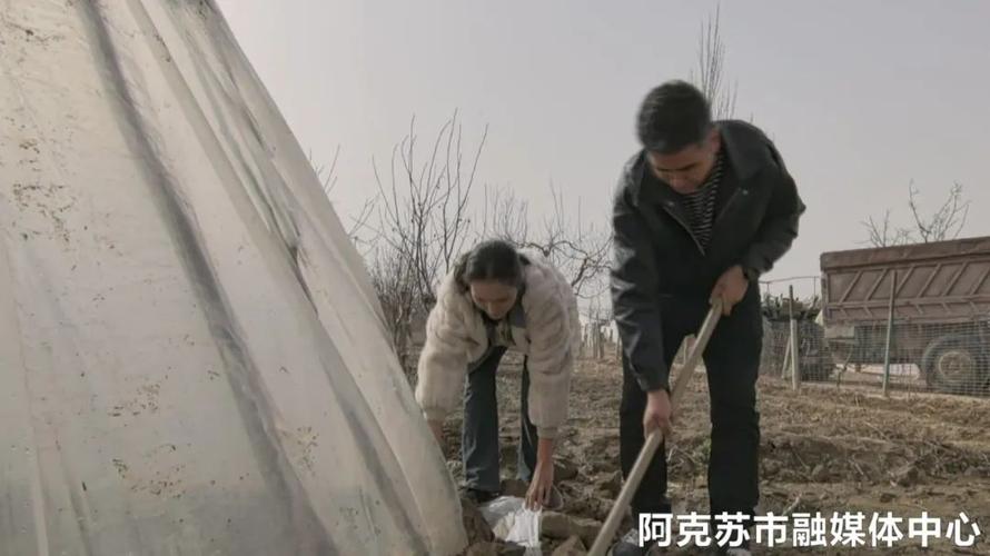 新疆焉耆:发展庭院“小经济” 助力乡村“大振兴”