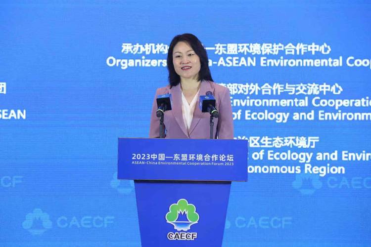 中国驻东盟大使:中国将为全球发展提供新机遇