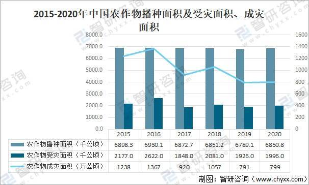 桦甸出彩农业实现年产值突破5亿元 同比增22%