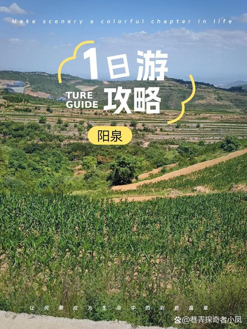 “碳”路先行｜山西阳泉：在烟火人间锻造数智新城