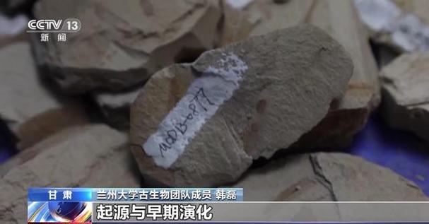 中国西北地区发现广泛分布的侏罗纪被子植物化石